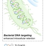 De la oncologie la boli infecțioase: Un agent anticancerigen reutilizat devine o armă antibacteriană activată prin sunet