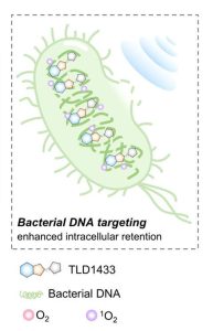 De la oncologie la boli infecțioase: Un agent anticancerigen reutilizat devine o armă antibacteriană activată prin sunet