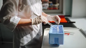 O nouă eră în medicina reproductivă: Au fost create primele ovocite umane timpurii din celule stem