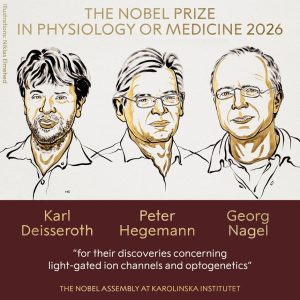 Comutatorul cu lumină al creierului: Optogenetica aduce Premiul Nobel pentru Fiziologie și Medicină în 2026